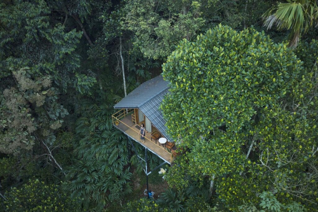 Tree House in Munnar