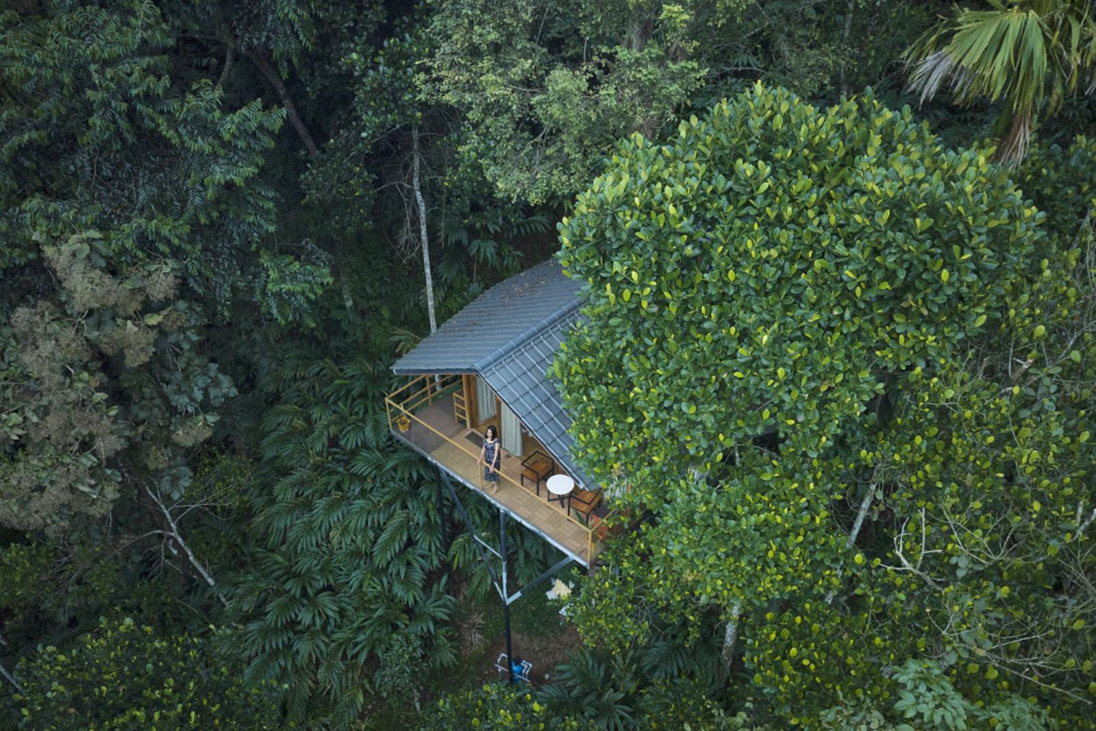 Tree House in Munnar