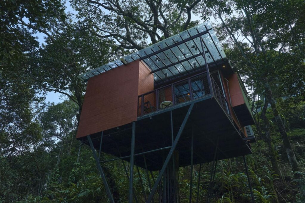 tree house in Munnar